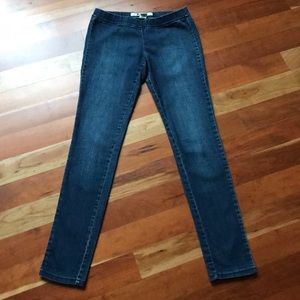 Wet Seal Skinny Stretchy Mid Wash Jeans / Jeggings